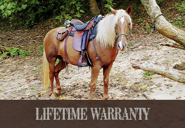 At Steele we want you to Try It "Before" You Buy It. We are that confident in our saddles. Try our Demo Program (click here)