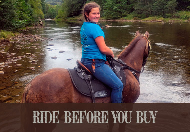 At Steele we want you to Try It "Before" You Buy It. We are that confident in our saddles. Try our Demo Program (click here)